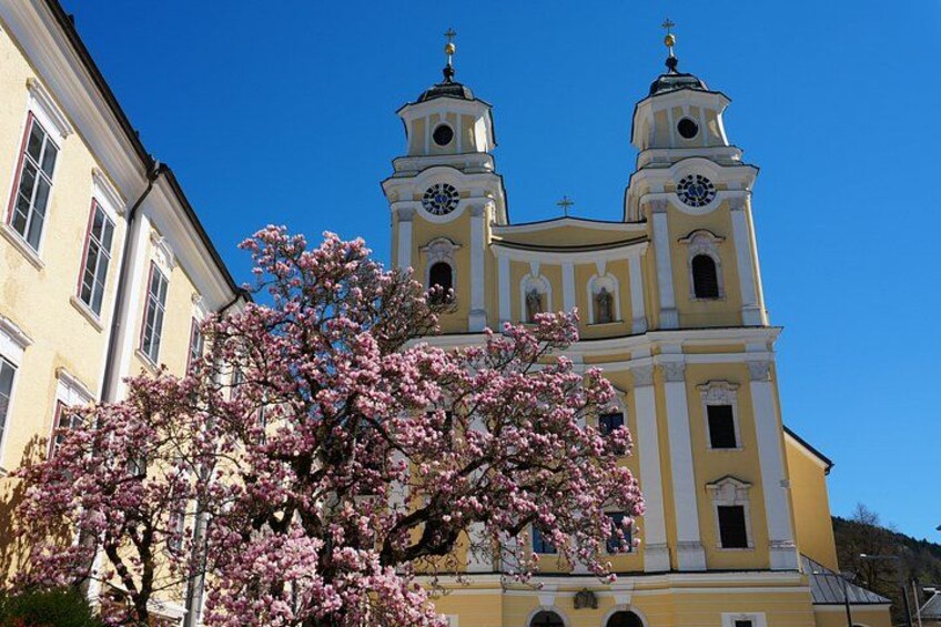 En gul kyrka med två torn och ett blommande träd i förgrunden. 2