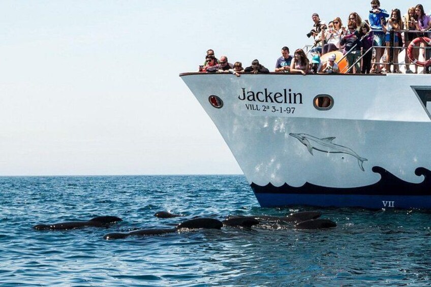 Jackeline ship 3