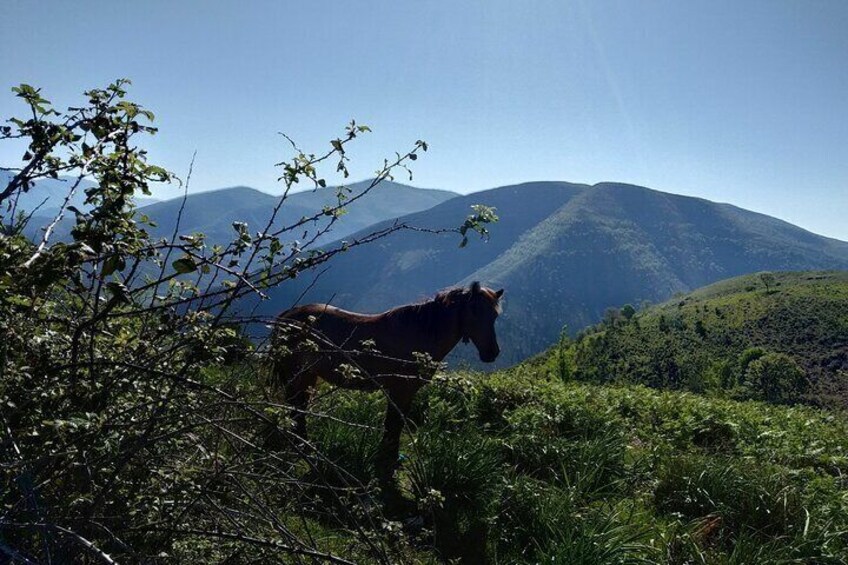 7 Days in Albania 4