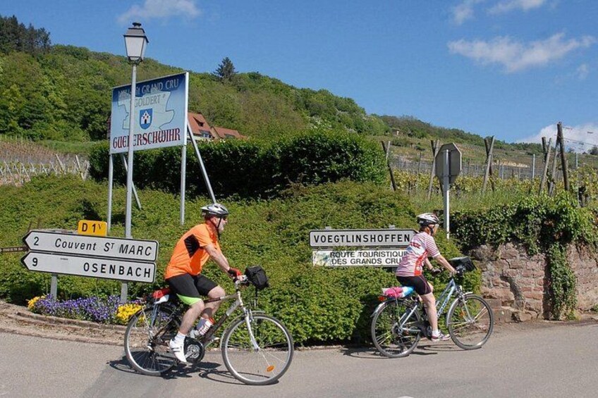 Through Alsace Vineyards and Wine Villages Private Bike Tour 1