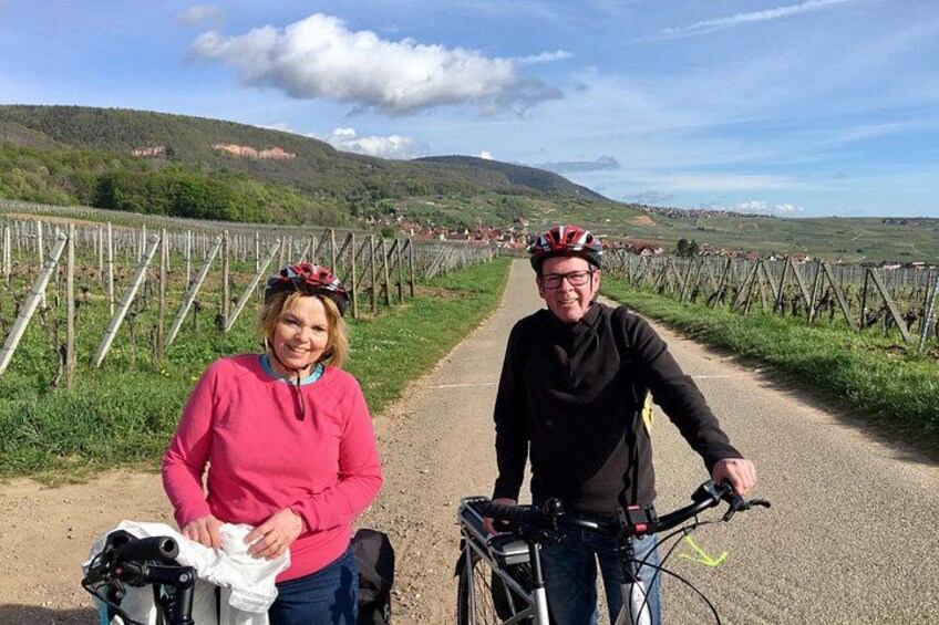 Through Alsace Vineyards and Wine Villages Private Bike Tour 3