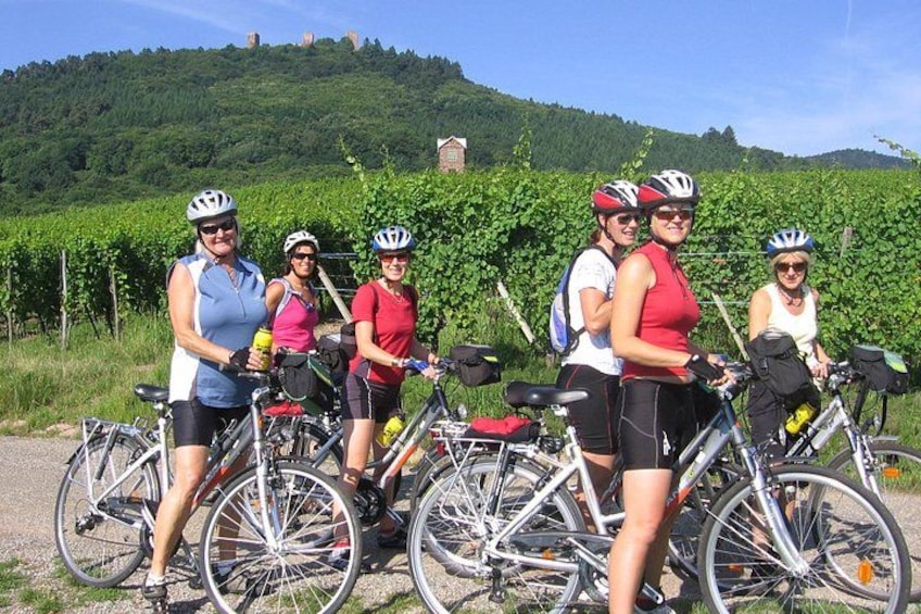 Through Alsace Vineyards and Wine Villages Private Bike Tour 2