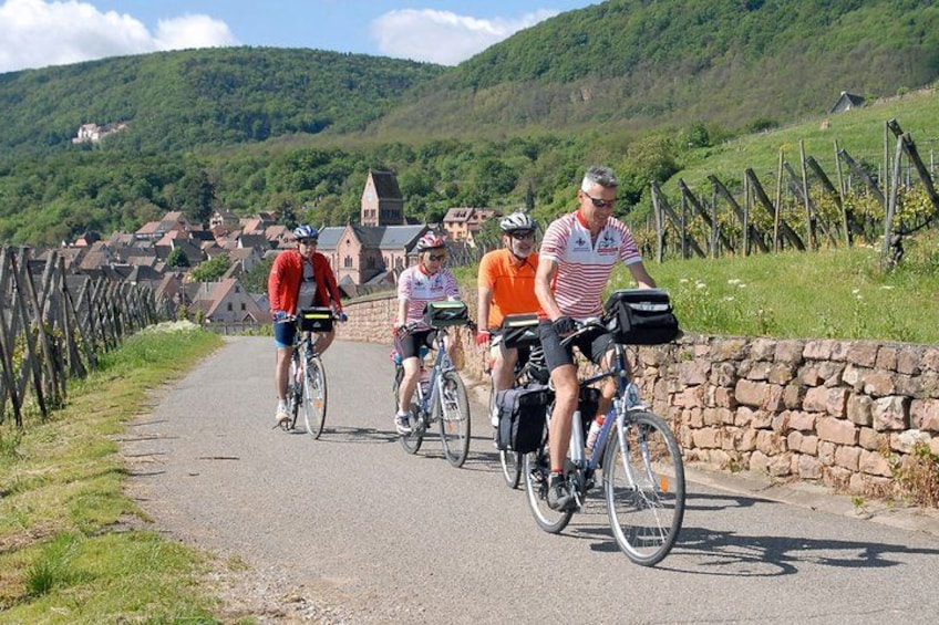 Part of your wonderful ride through the Alsace vineyards.
PS Usually I DO wear a helmet! 3