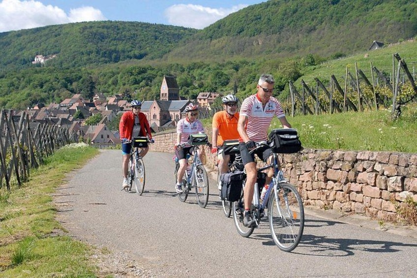 Ciclistas en una carretera pavimentada con muros de piedra y un viñedo al fondo. 1