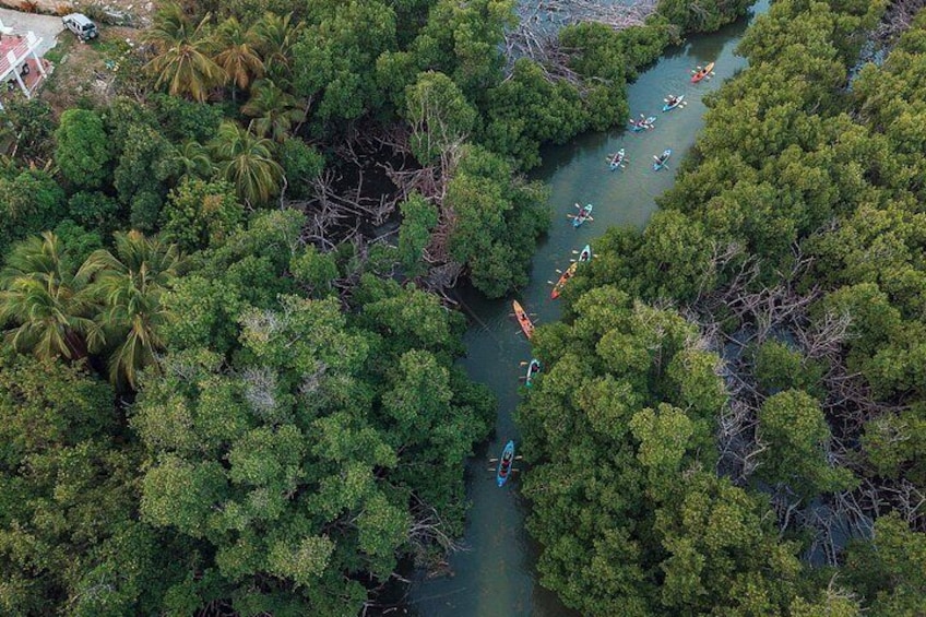 Une rivière bordée d’une végétation tropicale luxuriante, avec plusieurs kayaks. 5