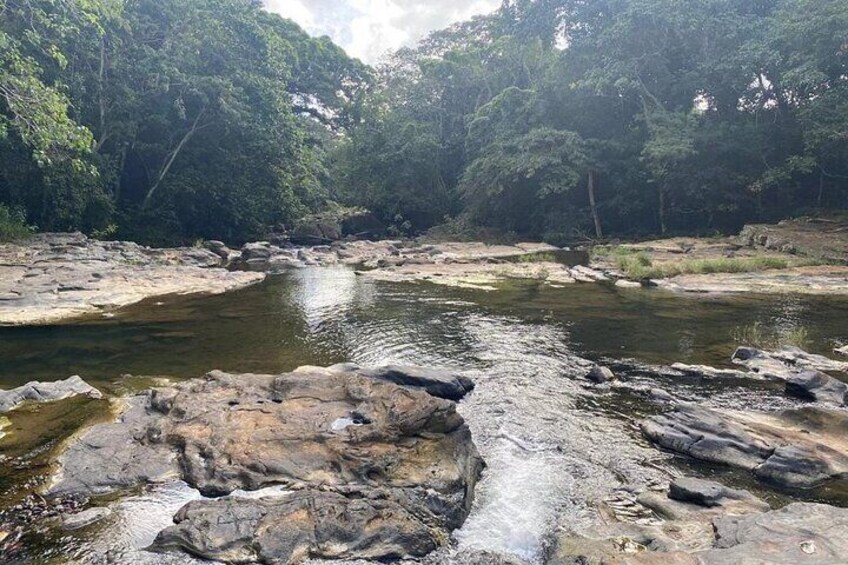 A river with rocky banks, surrounded by dense forest. 4
