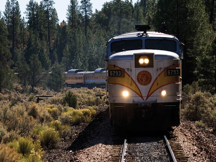 Un tren con el número 6793 circulando sobre vías férreas a través de una zona boscosa. 5