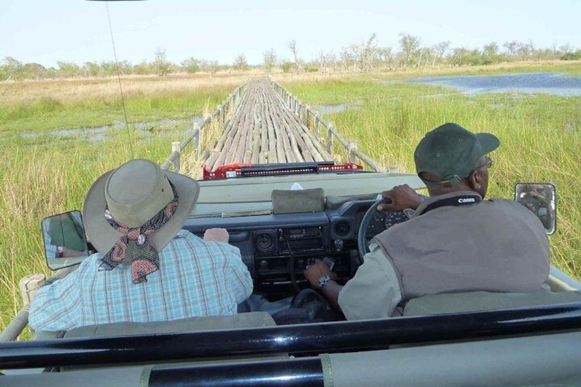 Crossing a channel on a wooden bridge, Moremi game reserve