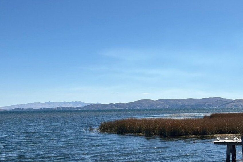 A lake with mountains in the background, a dock, and reeds along the shore. 4