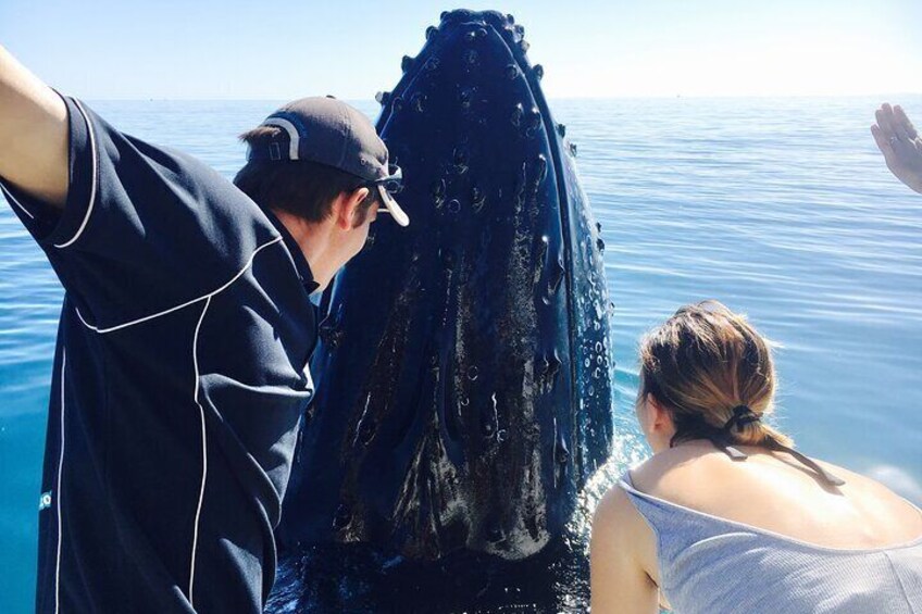 Remote K'gari (Fraser Island) & Whale Experience 5