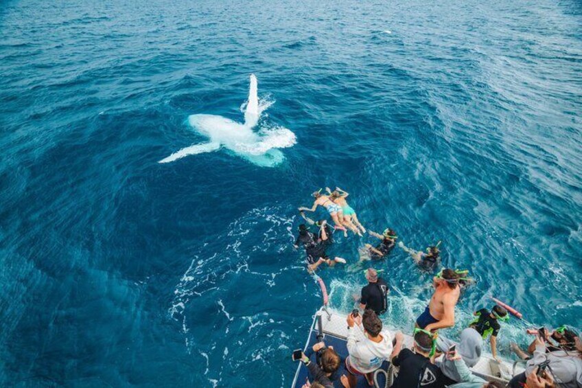 Remote K'gari (Fraser Island) & Whale Experience 5