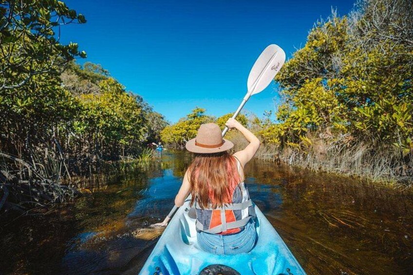 A person kayaking down a river surrounded by dense mangrove vegetation. 4