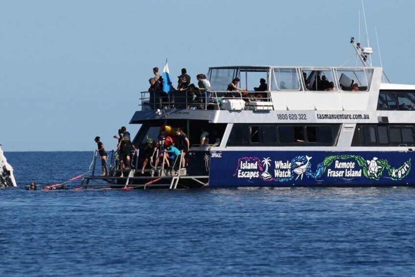 Remote K'gari (Fraser Island) & Whale Experience 3