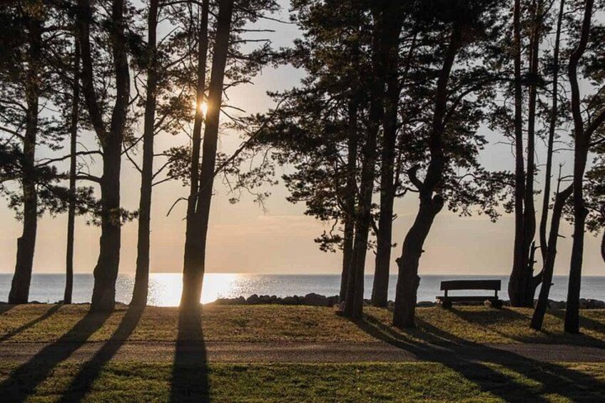 A park with trees, a bench, and the sun setting over the water. 3