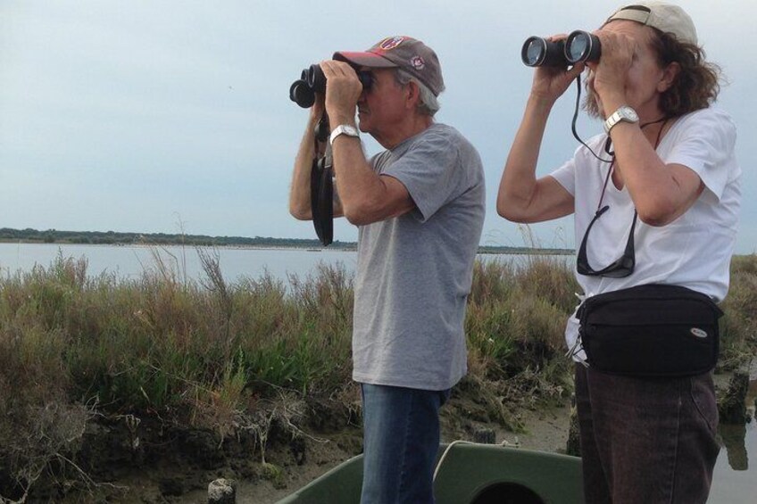 Birding by boat
Ph: benelli giacomo