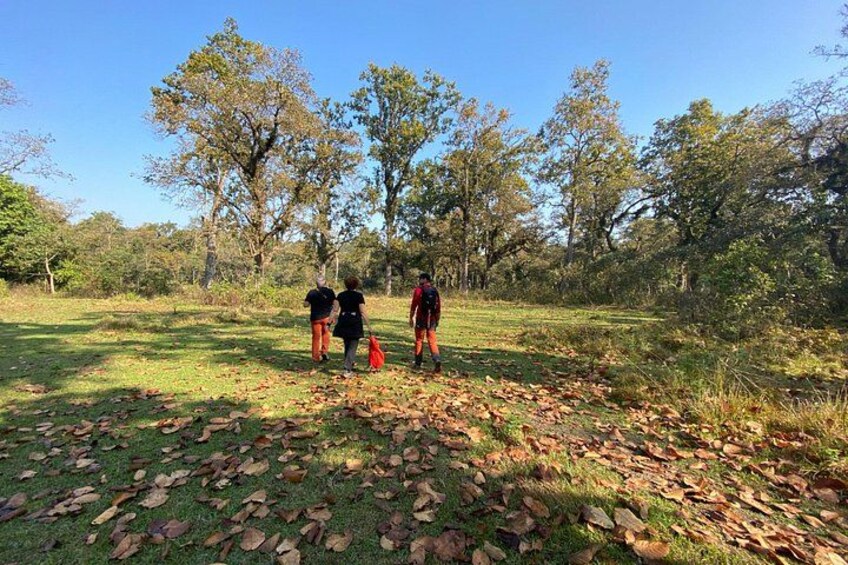 1 Night 2 Days Chitwan Jungle Safari Tour from Pokhara or Kathmandu 3