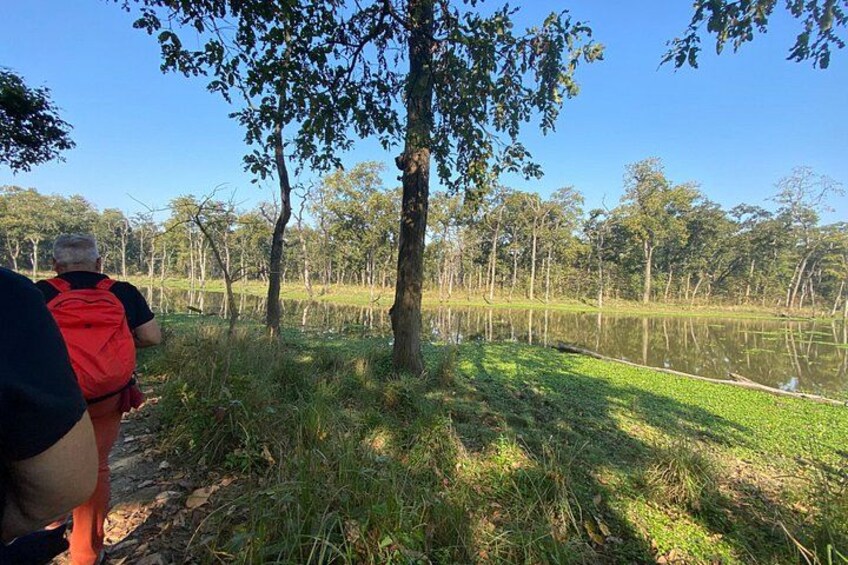 1 Night 2 Days Chitwan Safari Tour 3
