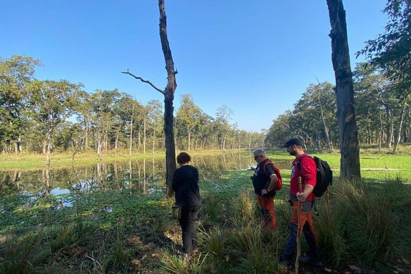 1 Night 2 Days Chitwan Safari Tour 4