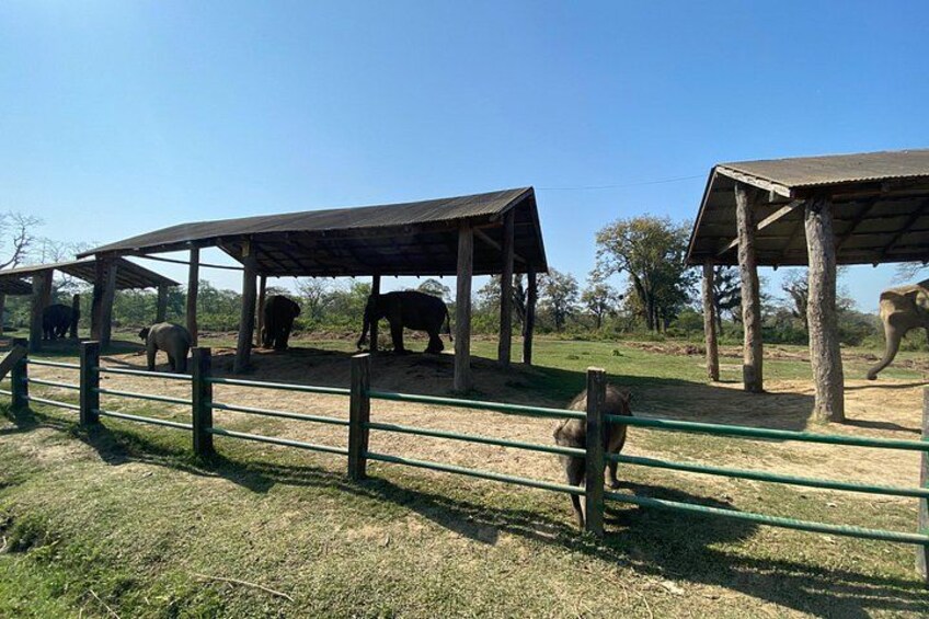 1 Night 2 Days Chitwan Safari Tour 2