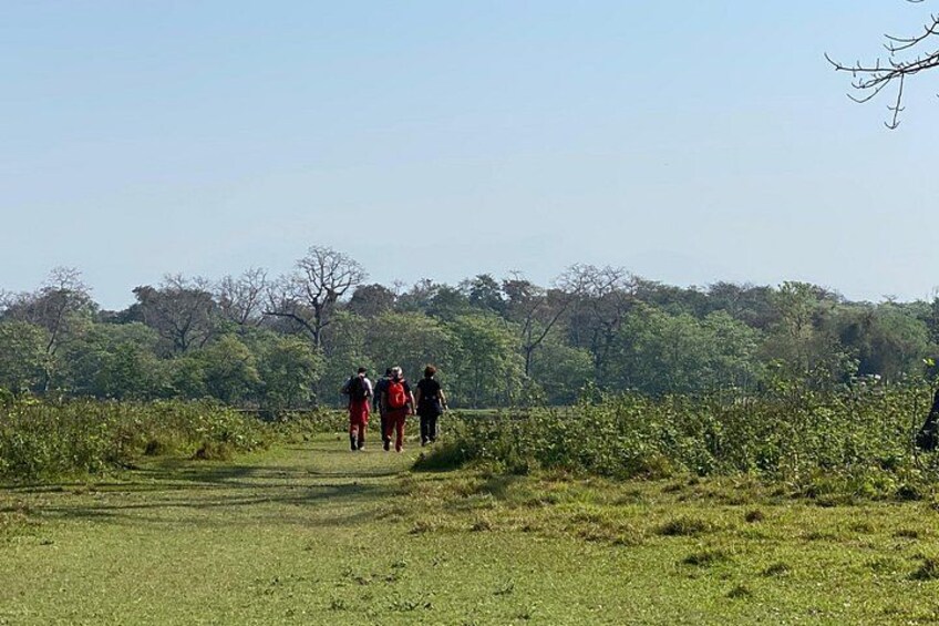 Nature Walk in Chitwan Jungle Safari with Guide 2
