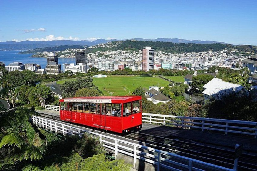Private Romantic Walking Tour in Wellington 2