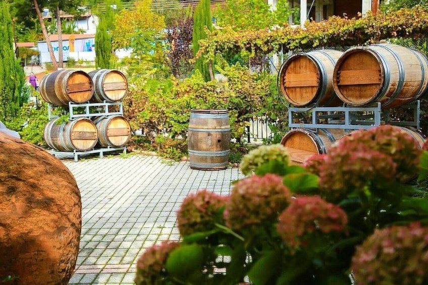 Wine barrels, a brick pathway, and lush greenery. 2