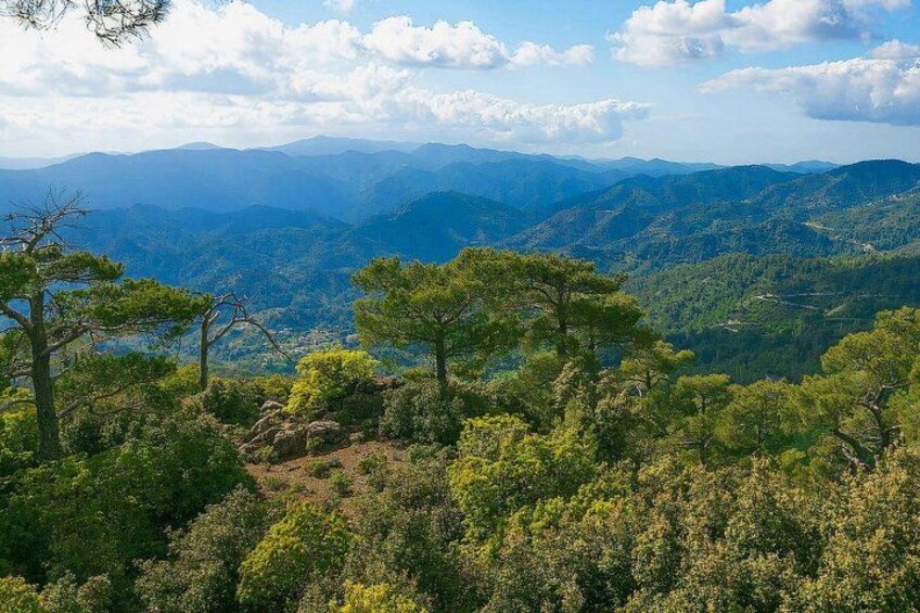 Troodos Mountains 1