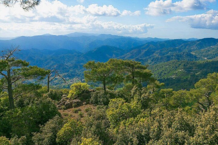 Un paisaje montañoso con bosques densos y cielos despejados. 1