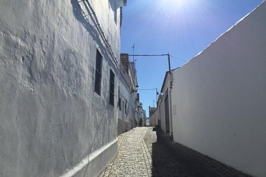 A narrow cobblestone street flanked by buildings with white walls and dark windows. 4