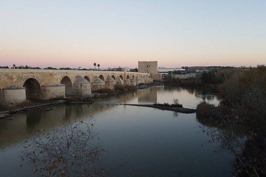 Cordoba from Sevilla