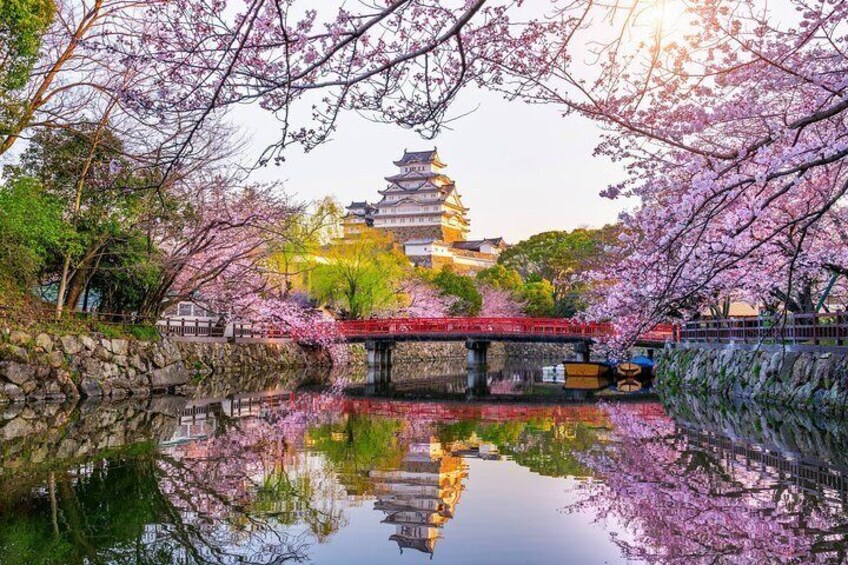  The Best of Himeji Walking Tour