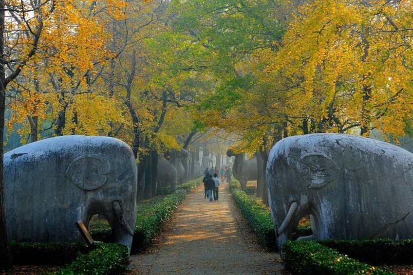 A pathway flanked by large elephant sculptures, with people walking in the distance. 5