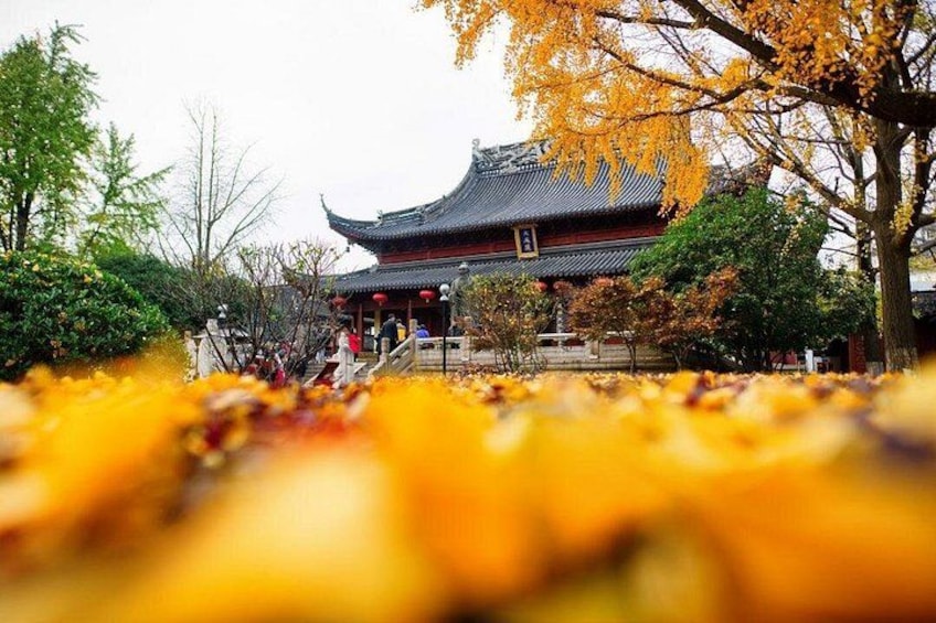 A traditional building with a curved roof, surrounded by trees with autumn leaves. 4