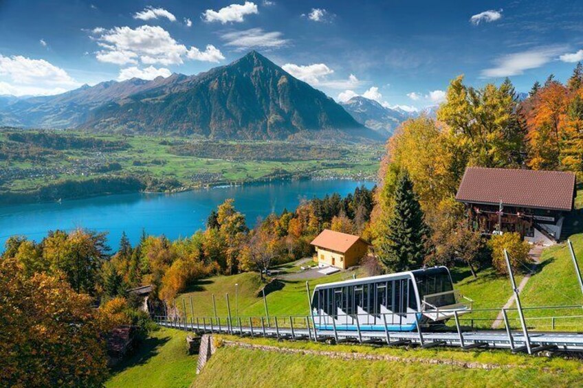 Grindelwald and interlaken (Private Tour)