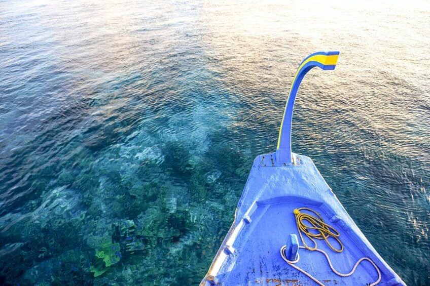 Dolphin Cruise in Huraa 2
