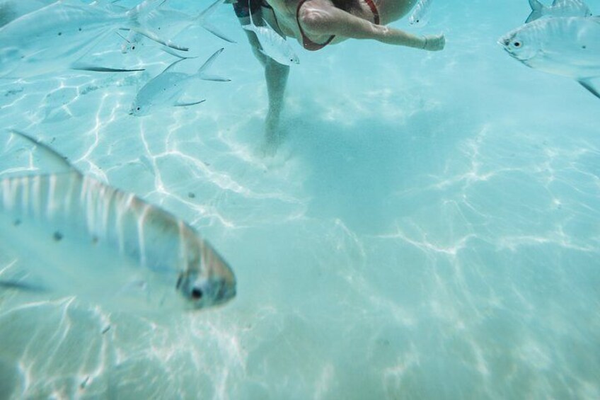 Snorkeling in Huraa