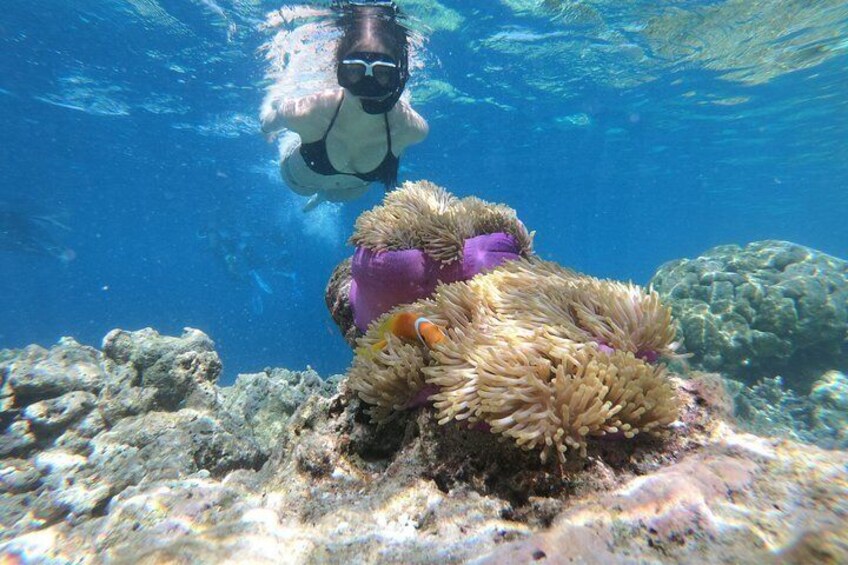 Snorkeling in Huraa