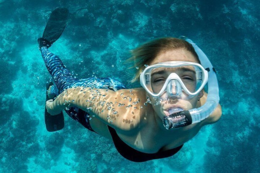 A person snorkeling underwater. 3