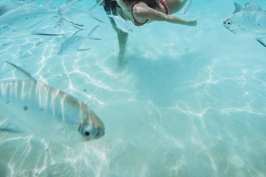 A person swimming underwater with fish around. 2