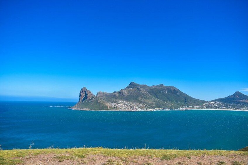 Table Mountain, Boulders Penguins and Cape point Day Tour 2