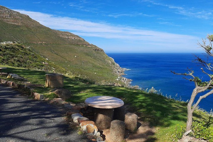 Table Mountain, Boulders Penguins and Cape point Day Tour 3