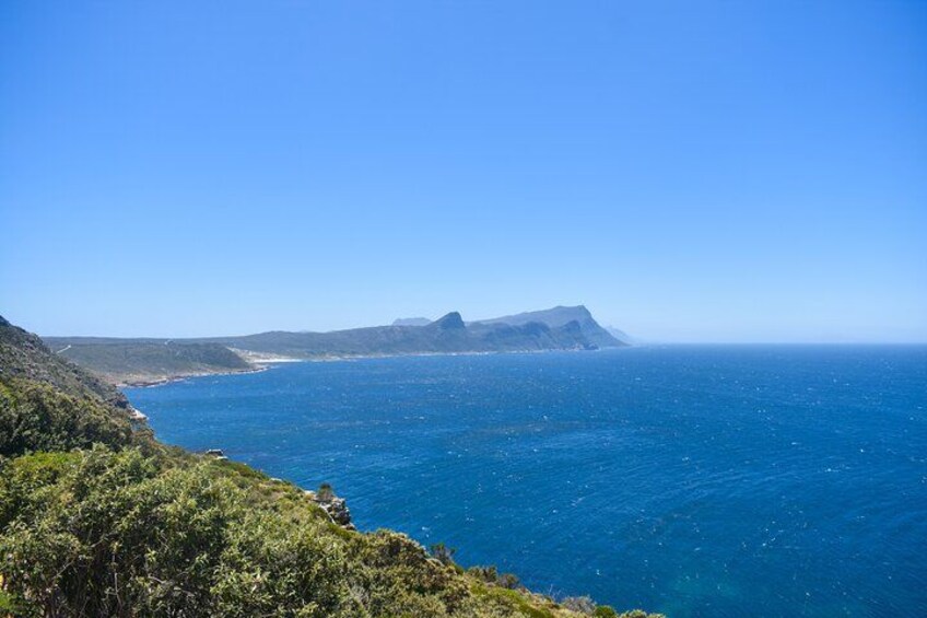 Table Mountain, Boulders Penguins and Cape point Day Tour 2