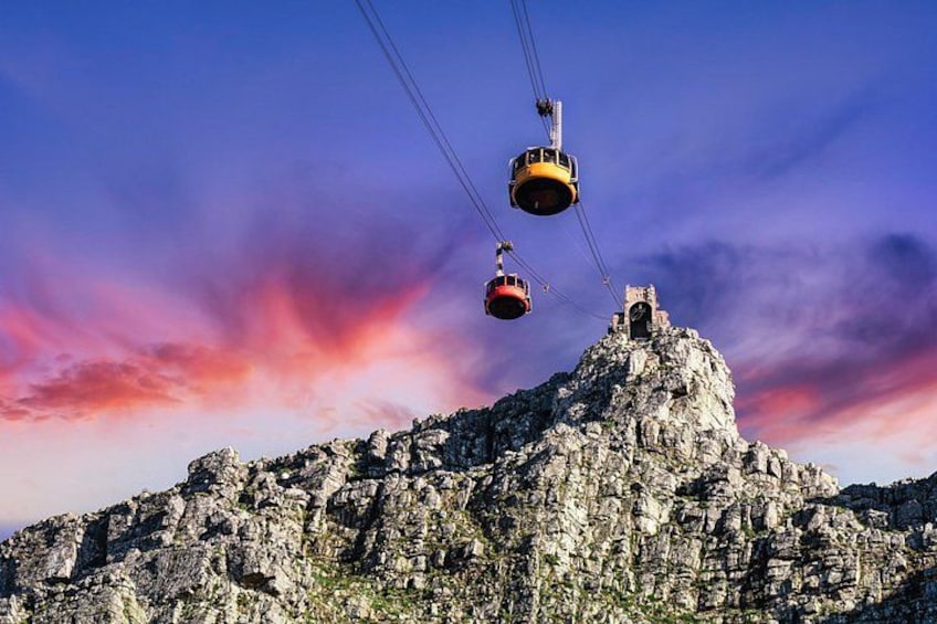 Table Mountain, Boulders Penguins and Cape point Day Tour 4