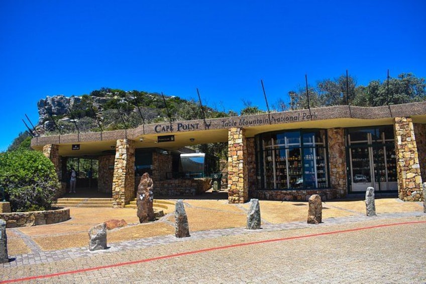 Table Mountain, Boulders Penguins and Cape point Day Tour 2