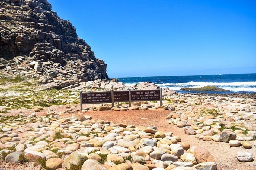Table Mountain, Boulders Penguins and Cape point Day Tour 4