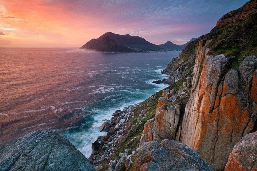 Table Mountain, Boulders Penguins and Cape point Day Tour 3