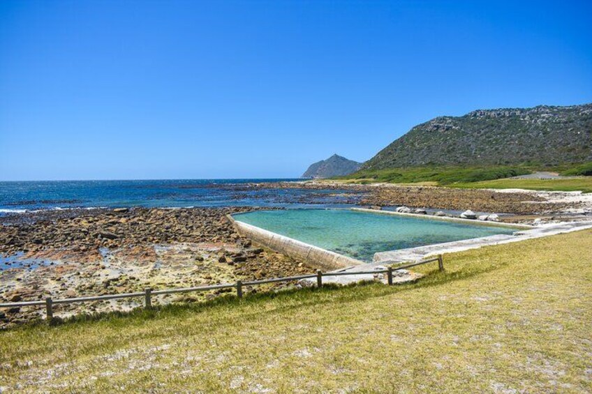 Table Mountain, Boulders Penguins and Cape point Day Tour 4