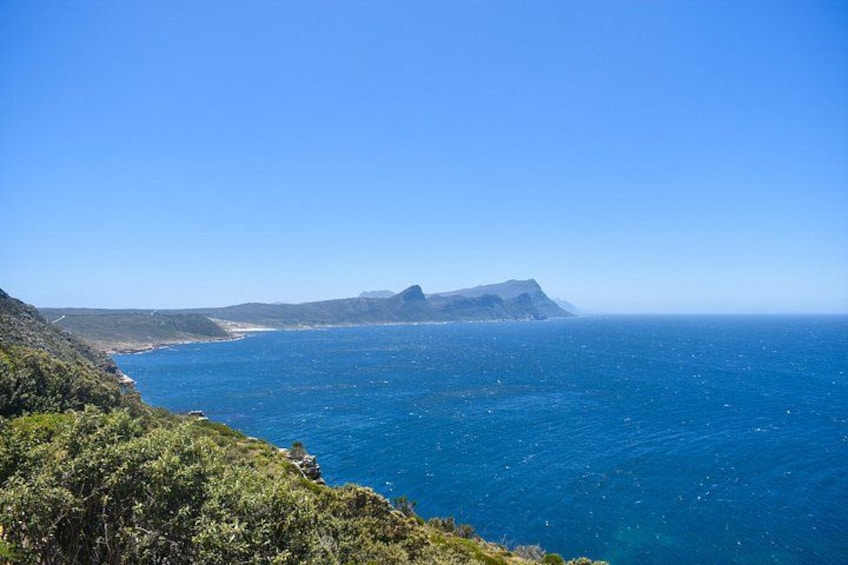 Table Mountain, Boulders Penguins and Cape point Day Tour 2