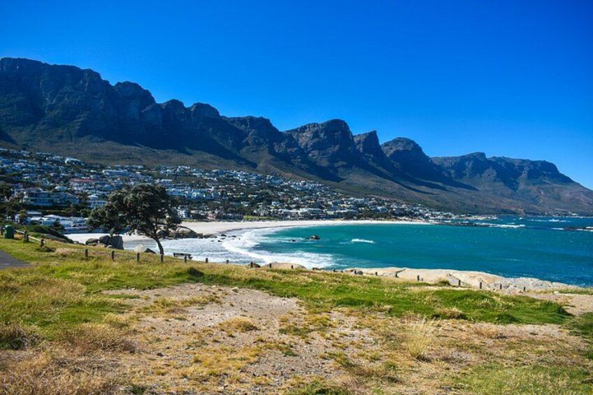 Table Mountain, Boulders Penguins and Cape point Day Tour 3