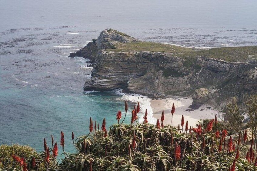 A coastal landscape with a prominent cliff, beach, and coastal vegetation. 5